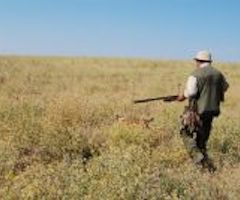 Propuestos los días hábiles de la Media Veda de caza en la provincia de Zamora